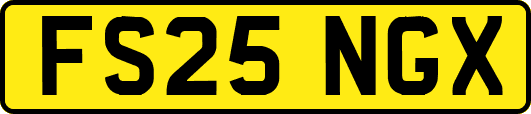 FS25NGX