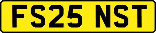 FS25NST
