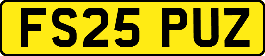 FS25PUZ