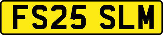 FS25SLM