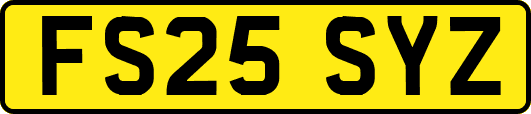 FS25SYZ