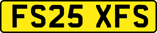 FS25XFS