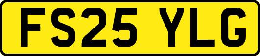 FS25YLG