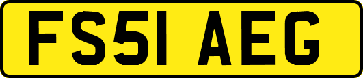 FS51AEG