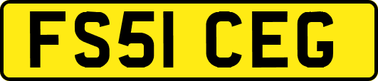FS51CEG