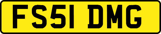 FS51DMG