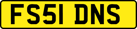 FS51DNS