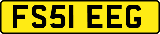 FS51EEG