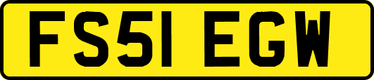 FS51EGW