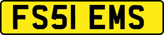 FS51EMS