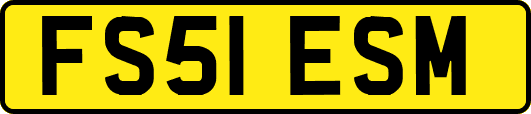 FS51ESM