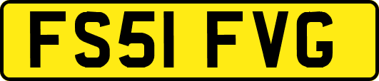 FS51FVG