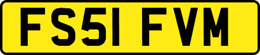 FS51FVM