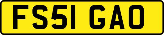 FS51GAO