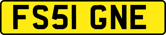 FS51GNE