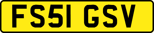 FS51GSV