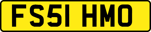 FS51HMO