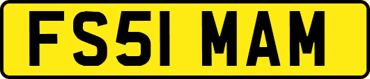 FS51MAM