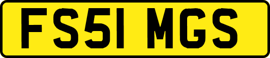 FS51MGS