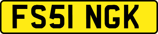 FS51NGK