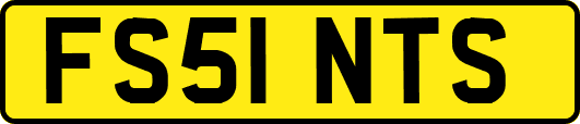 FS51NTS