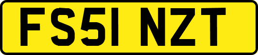 FS51NZT