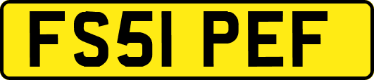FS51PEF