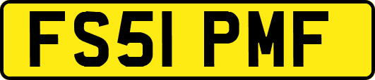 FS51PMF