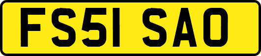 FS51SAO