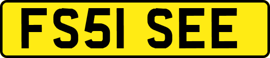FS51SEE