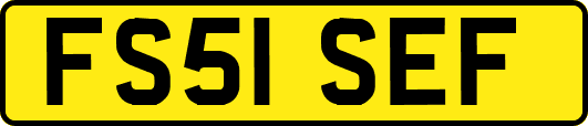 FS51SEF