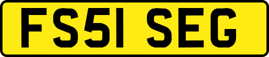 FS51SEG