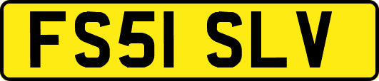 FS51SLV