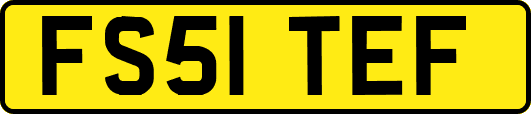 FS51TEF