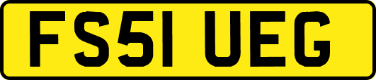 FS51UEG