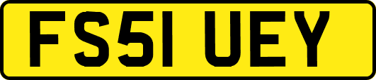 FS51UEY