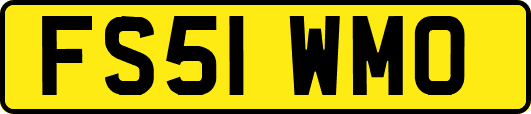 FS51WMO