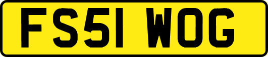 FS51WOG