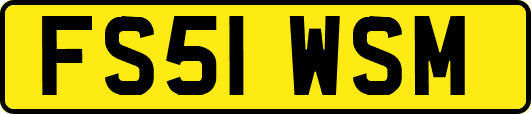 FS51WSM