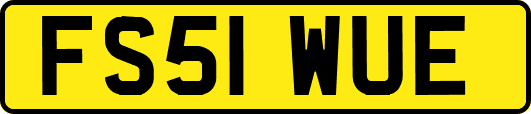FS51WUE