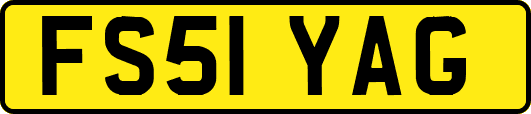 FS51YAG