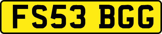 FS53BGG