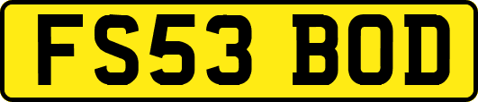 FS53BOD
