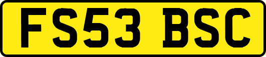 FS53BSC