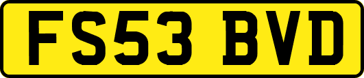 FS53BVD