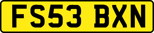 FS53BXN