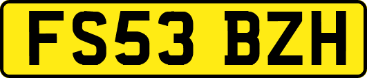 FS53BZH
