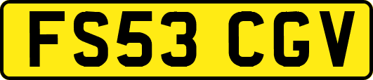 FS53CGV