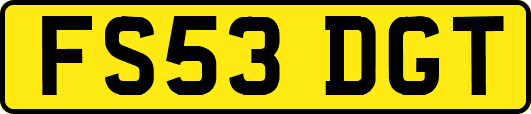 FS53DGT