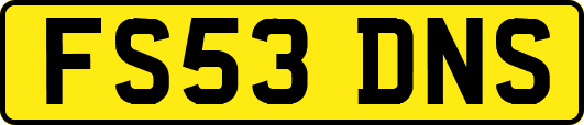 FS53DNS
